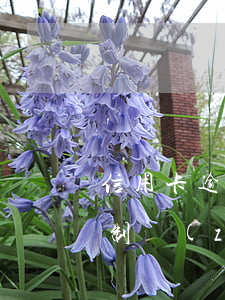 信用卡逾期銀行怎么可以強(qiáng)制執(zhí)行-信用卡逾期銀行怎么可以強(qiáng)制執(zhí)行呢