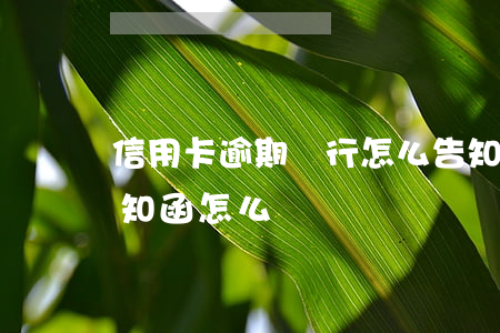 信用卡逾期銀行怎么告知(信用卡逾期收到告知函怎么辦)