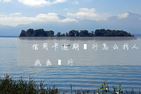 信用卡逾期銀行怎么找人(信用卡逾期銀行叫我去銀行)