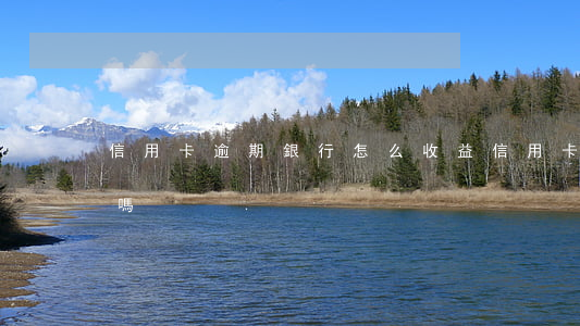 信用卡逾期銀行怎么收益(信用卡逾期有利息嗎)