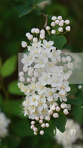 信用卡逾期銀行打無欠款證明(信用卡逾期銀行打無欠款證明怎么開)