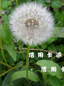 信用卡逾期銀行打電話核實信息該不該告知-信用卡逾期銀行打電話核實信息該不該告知家人