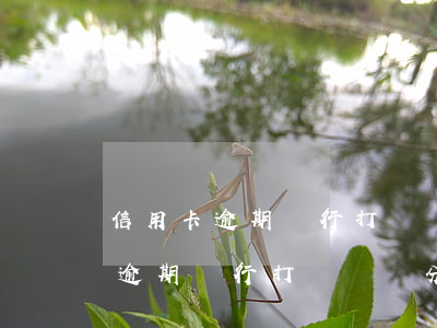 信用卡逾期銀行打電話給分48期-信用卡逾期銀行打電話給分48期還款