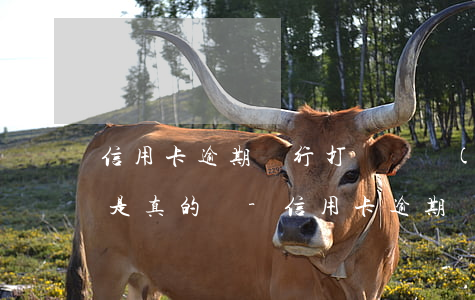 信用卡逾期銀行打電話說(shuō)立案是真的嗎-信用卡逾期銀行打電話說(shuō)立案是真的嗎嗎