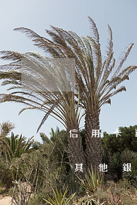 信用卡逾期銀行扣其他卡錢嗎(貸款逾期會扣其他銀行卡的錢嗎)
