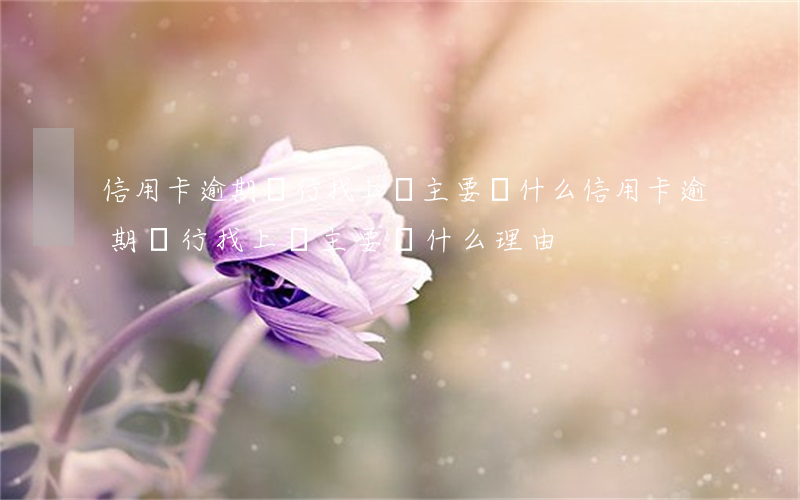 信用卡逾期銀行找上門主要談什么(信用卡逾期銀行找上門主要談什么理由)