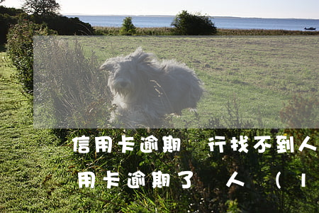 信用卡逾期銀行找不到人怎么起訴(為什么信用卡逾期了沒人聯(lián)系我)