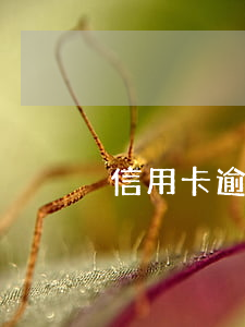 信用卡逾期銀行找到村委會去了