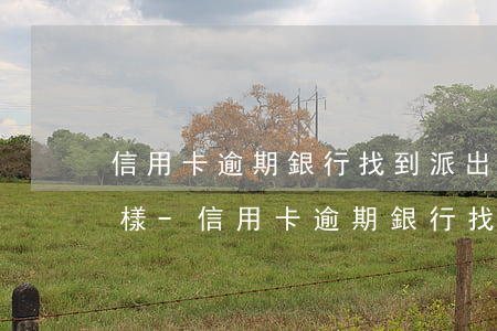 信用卡逾期銀行找到派出所會(huì)怎樣-信用卡逾期銀行找到派出所會(huì)怎樣處理
