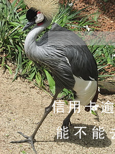 信用卡逾期銀行找我面談(信用卡催收約面談能不能去)