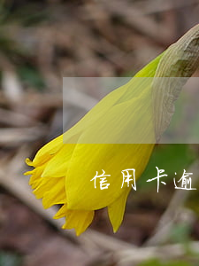 信用卡逾期銀行找第三方(逾期怎么找第三方)