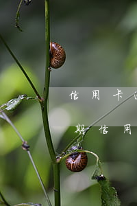 信用卡逾期銀行把卡注銷(xiāo)了(逾期信用卡還完了 可以直接注銷(xiāo)嗎?)
