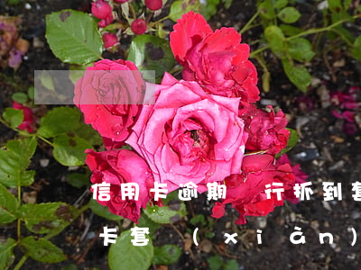 信用卡逾期銀行抓到套現(xiàn)(信用卡套現(xiàn)逾期后屬于惡意透支嗎)