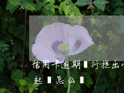 信用卡逾期銀行提出公訴(銀行信用卡逾期被起訴怎么辦)