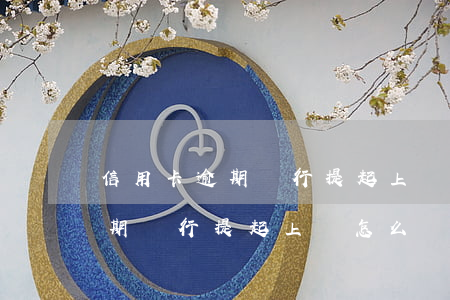 信用卡逾期銀行提起上訴怎么辦-信用卡逾期銀行提起上訴怎么辦呢