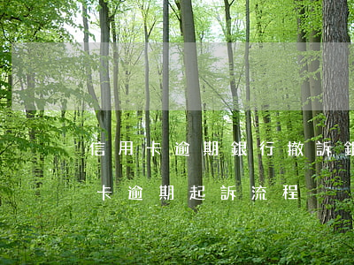 信用卡逾期銀行撤訴(銀行對(duì)信用卡逾期起訴流程)