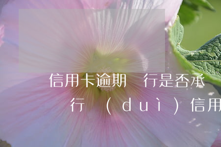 信用卡逾期銀行是否承擔(dān)提醒-銀行對(duì)信用卡逾期怎么處理