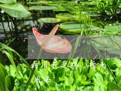 信用卡逾期銀行是銷卡還是銷戶(注銷銀行信用卡)