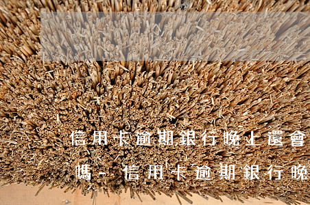 信用卡逾期銀行晚上還會(huì)打電話嗎-信用卡逾期銀行晚上還會(huì)打電話嗎是真的嗎