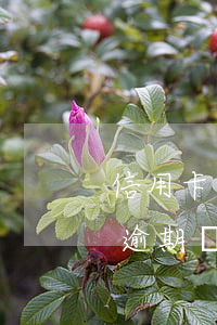 信用卡逾期銀行最低還款會怎么樣-信用卡逾期銀行最低還款會怎么樣嗎