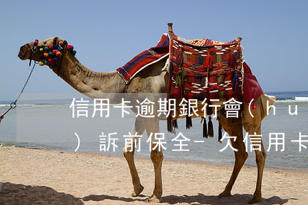 信用卡逾期銀行會(huì)不會(huì)訴前保全-欠信用卡銀行會(huì)申請(qǐng)財(cái)產(chǎn)保全嗎