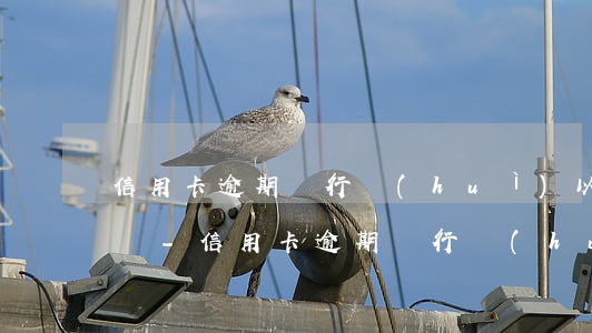 信用卡逾期銀行會(huì)以什么罪名起訴-信用卡逾期銀行會(huì)以什么罪名起訴呢