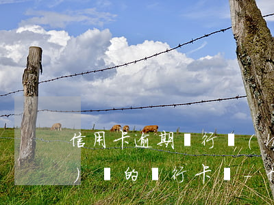 信用卡逾期銀行會(huì)凍結(jié)別的銀行卡嗎-信用卡逾期銀行會(huì)凍結(jié)別的銀行卡嗎安全嗎