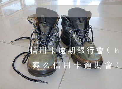 信用卡逾期銀行會(huì)報(bào)案么(信用卡逾期會(huì)立案嗎)