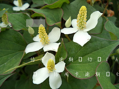 信用卡逾期銀行會(huì)帶公安局上門嗎-信用卡逾期銀行會(huì)帶公安局上門嗎知乎