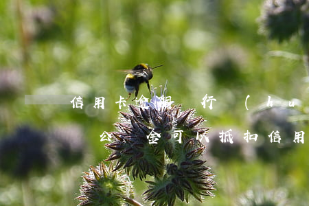 信用卡逾期銀行會(huì)拿公積金抵扣嗎(公積金可以抵扣信用卡嗎?)