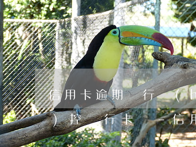 信用卡逾期銀行會(huì)監(jiān)控銀行卡嗎-信用卡逾期銀行會(huì)監(jiān)控銀行卡嗎安全嗎
