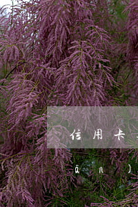 信用卡逾期銀行會(huì)看銀監(jiān)局面子嗎-信用卡逾期銀行會(huì)看銀監(jiān)局面子嗎