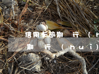 信用卡逾期銀行會(huì)立案 信用卡逾期銀行會(huì)立案起訴嗎