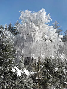 信用卡逾期銀行會(huì)聯(lián)合報(bào)案嗎 欠多家銀行信用卡會(huì)被聯(lián)合起訴嗎