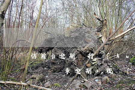 信用卡逾期銀行會(huì)處理車輛違章 車輛違章逾期處理會(huì)怎樣