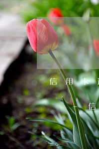 信用卡逾期銀行會(huì)讓第三方上門嗎-信用卡逾期銀行會(huì)讓第三方上門嗎是真的嗎