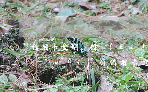 信用卡逾期銀行會(huì)起訴單位嗎(有沒(méi)有信用卡逾期被起訴的人)