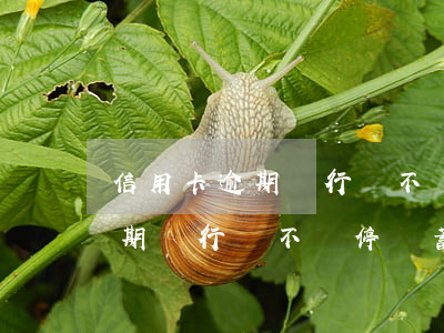 信用卡逾期銀行會不會停儲蓄卡-信用卡逾期銀行會不會停儲蓄卡呢
