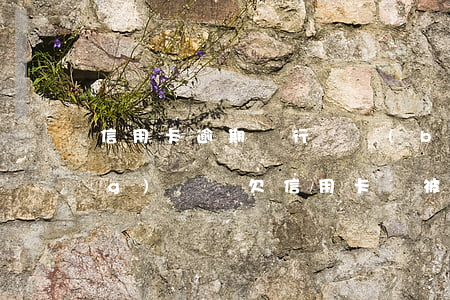 信用卡逾期銀行會報(bào)經(jīng)偵嗎(欠信用卡會被經(jīng)偵隊(duì)抓嗎?)