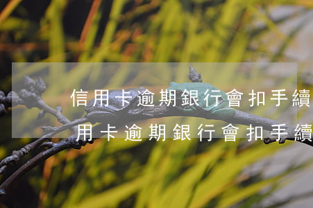 信用卡逾期銀行會扣手續(xù)費嗎-信用卡逾期銀行會扣手續(xù)費嗎貼吧
