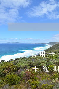 信用卡逾期銀行會直接報案(什么情況下信用卡逾期會被起訴)