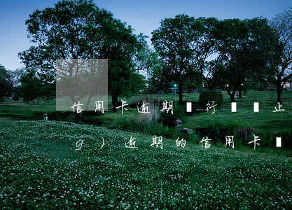 信用卡逾期銀行會終止合作嗎(已經(jīng)逾期的信用卡,該如何與銀行協(xié)商暫緩還款)
