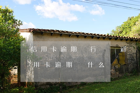 信用卡逾期銀行會給通訊錄嗎(收到別人的信用卡逾期為什么)