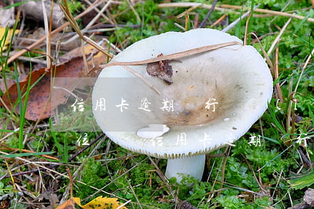 信用卡逾期銀行會聯(lián)系工作單位嗎-信用卡逾期銀行會聯(lián)系工作單位嗎怎么辦