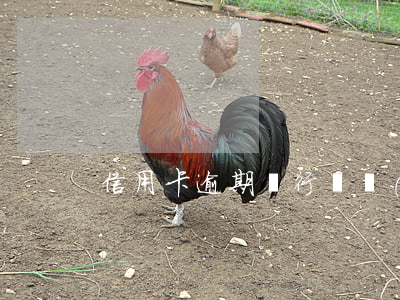 信用卡逾期銀行會聯(lián)系父母