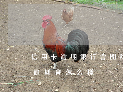 信用卡逾期銀行會開除員工嗎(銀行工作人員逾期會怎么樣)