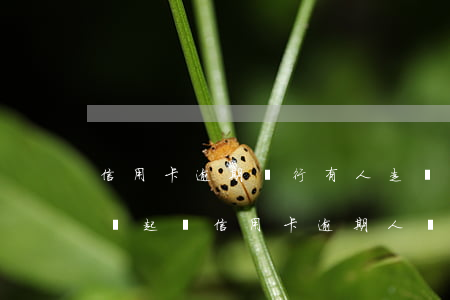 信用卡逾期銀行有人走訪(銀行在什么情況下會起訴信用卡逾期人員)