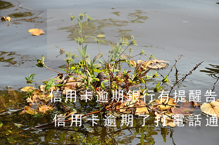 信用卡逾期銀行有提醒告知義務(wù)(是信用卡逾期了 打電話通知提醒他們的)