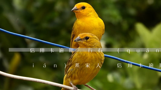信用卡逾期銀行有權(quán)利聯(lián)系家人嗎(信用卡逾期聯(lián)系家人合法嗎)