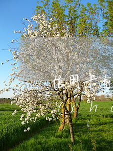 信用卡逾期銀行有權(quán)處理房產(chǎn)嗎(銀行卡信用卡逾期有什么辦)